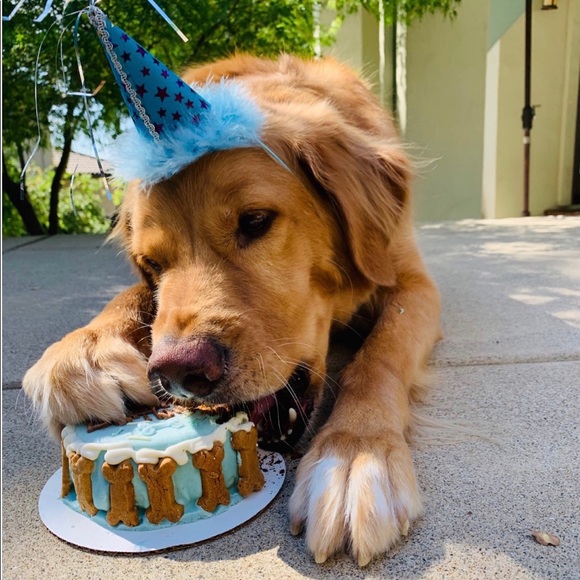 MEET YOUR POSHER👑🌸 - Picture 5 of 8